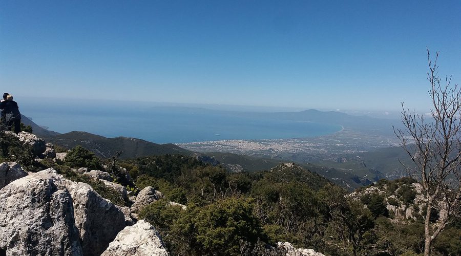 Αρτεμισία Μεσσηνίας